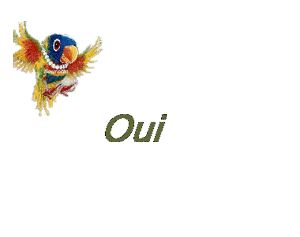 Gif animé c'est vendredi oiseau